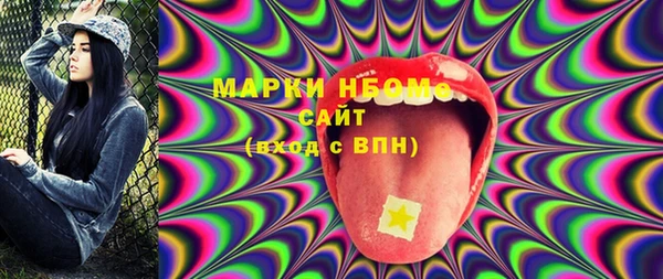 индика Коряжма